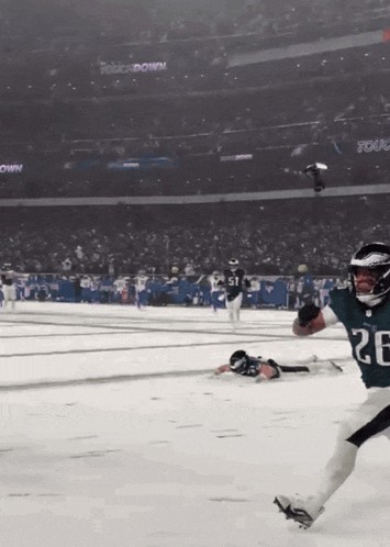 Go Birds Fly Eagles GIF