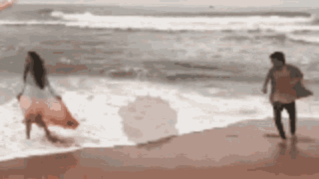 Goa GIF
