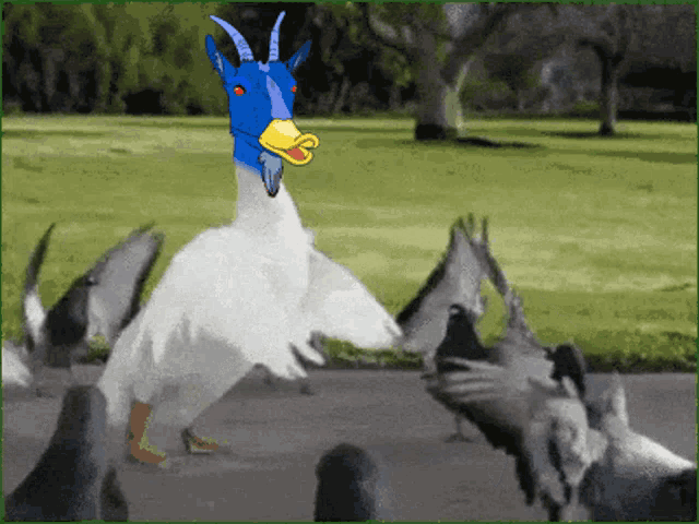 Goat Tribe Ada Goats GIF