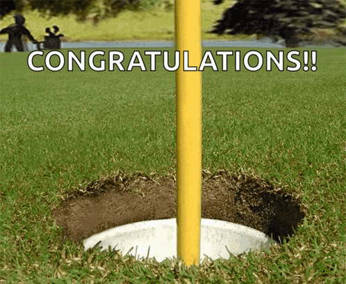 Golf Hole In One GIF