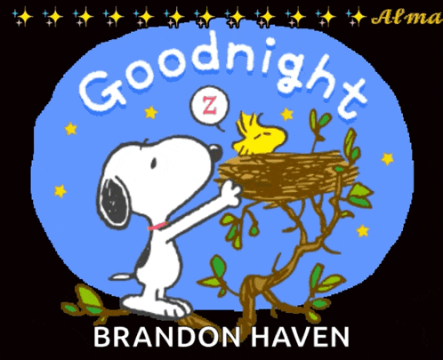Good Night Snoopy GIF