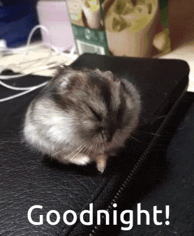 Goodnight Hamster Sleep GIF