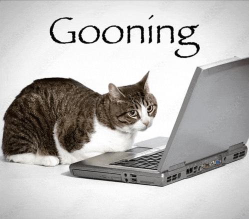 Gooning Cat Meme GIF