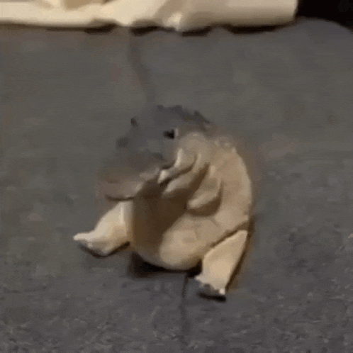 Greg GIF