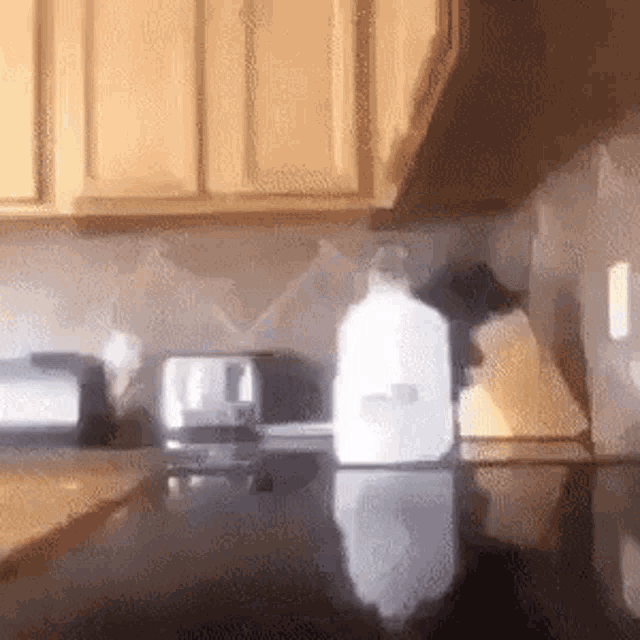 Guy Punching Milk Jug Gif
