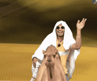 Habibi GIF