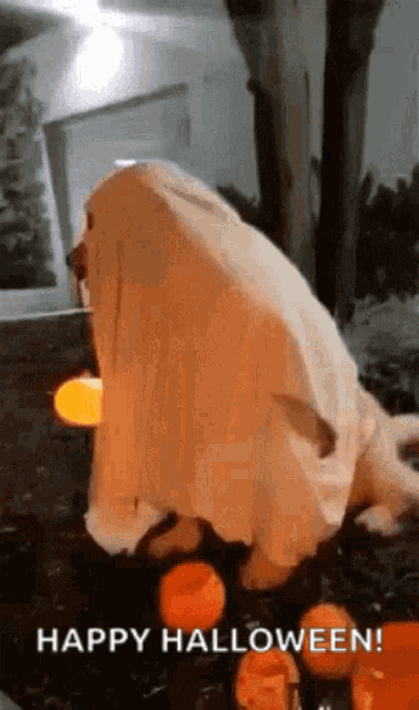 Halloween GIF