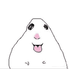 Hamster Tik Tok Hamster Meme GIF