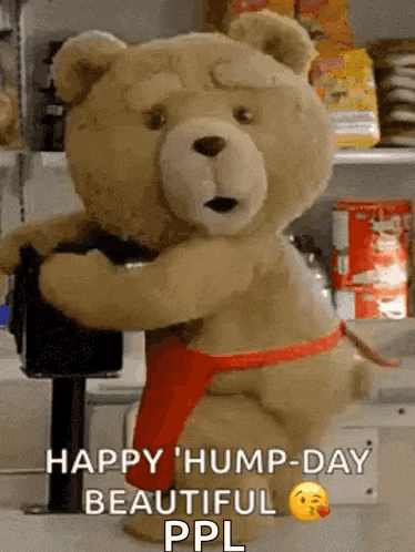 Happy Hump Day Funny GIF