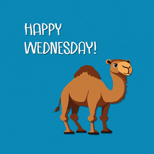 Happy Wednesday Vibes GIF