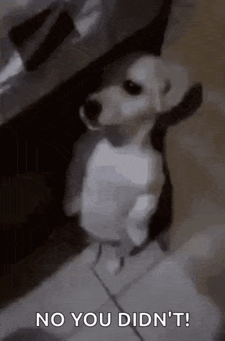 Hell Heaven GIF