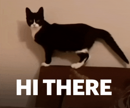 Hi There GIF