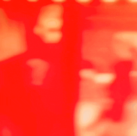 Honkai Star Rail Hsr GIF