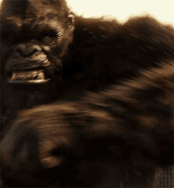 Hulk King Kong GIF