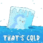Ice Cold Frozen GIF