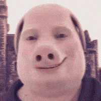 John Pork GIF