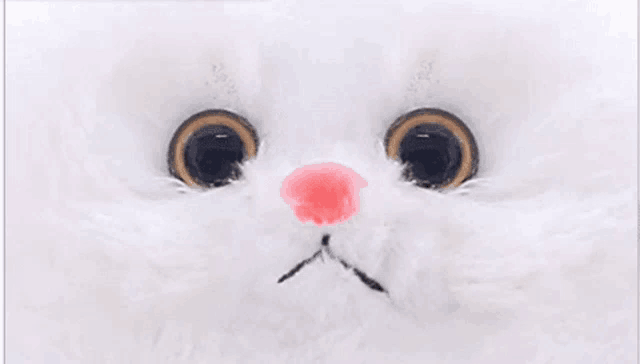Katti Gif