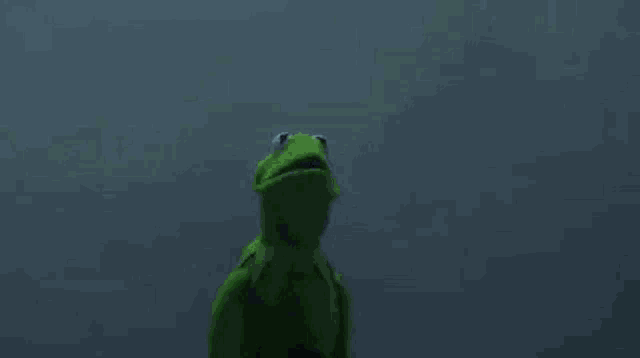 Kermit Evil GIF
