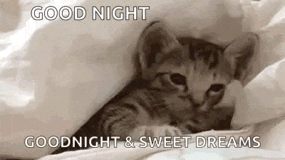Kitten GIF