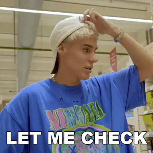 Let Me Check Raphael Gomes GIF