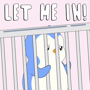Let Me In Cant Wait GIF