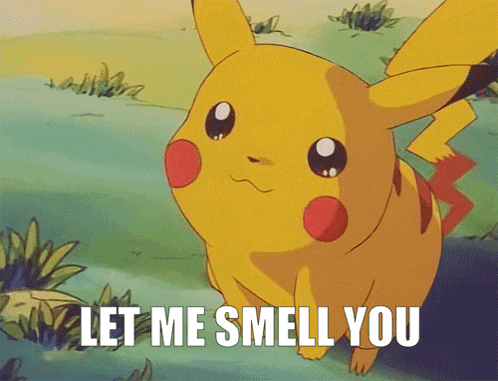 Let Me Smell You Pikachu GIF