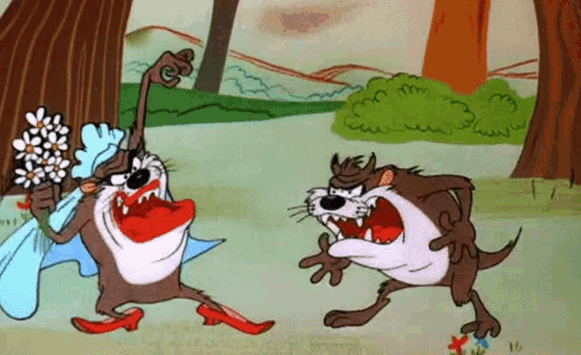 Looney Tunes Taz GIF
