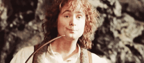 Lotr GIF