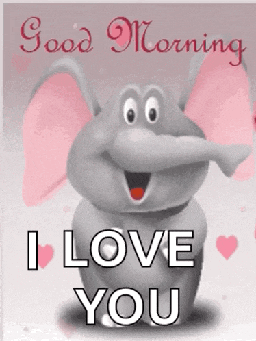Love Elephant GIF