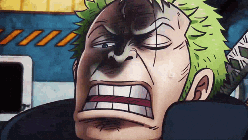 Luffy Zoro GIF