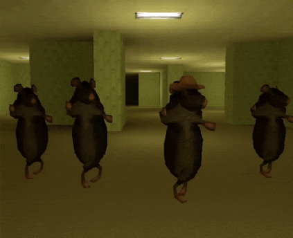 Meme Rats GIF