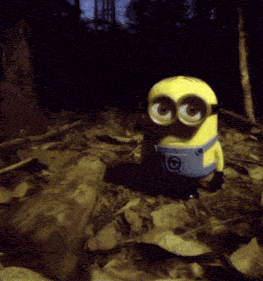 Minion Reaction GIF
