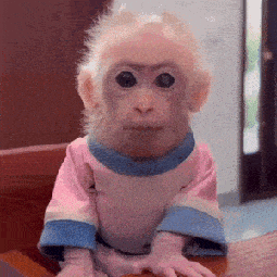 Monkey Looking Sus Sus Monkey GIF