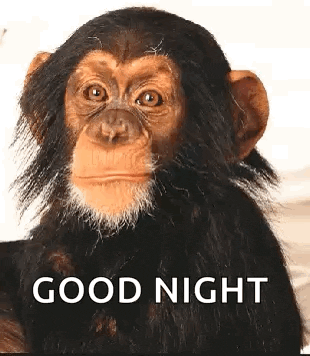 Monkey Smile GIF
