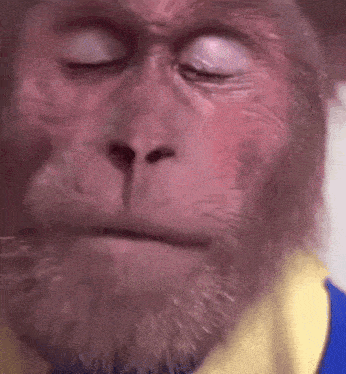 Monkey Tearing Up Monkey Crying GIF