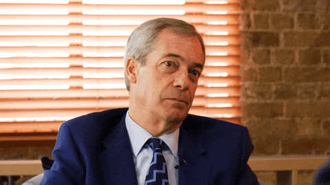 Nigel Farage Grin GIF