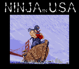 Ninja In Usa Ninja Gaiden GIF