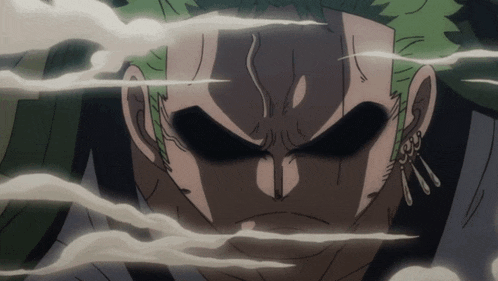 One Piece Roronoa Zoro GIF