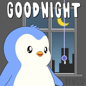 Pengu Pudgy Good Night GIF