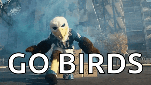 Philadelphia Eagles Swoop GIF