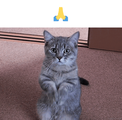 Please GIF