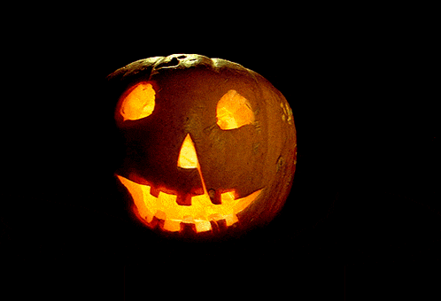 Pumpkin Halloween GIF
