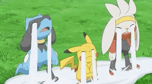 Raboot Pikachu GIF