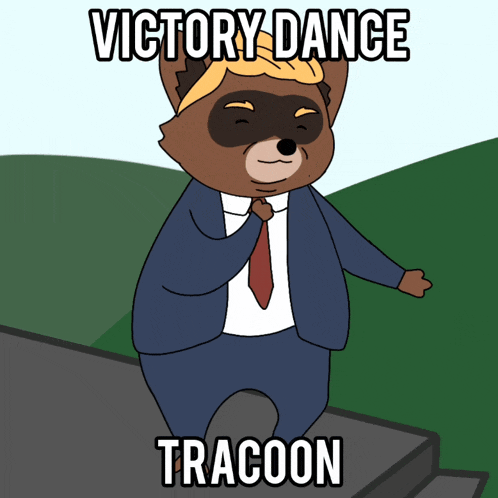Racoon Dancing GIF