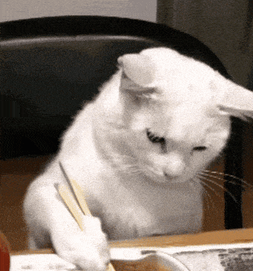 Ramen Cat GIF