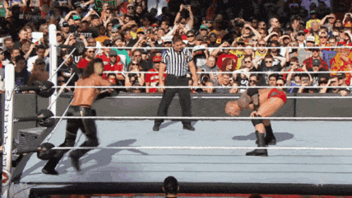Randy Orton Rko GIF