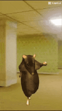 Rat Dance GIF