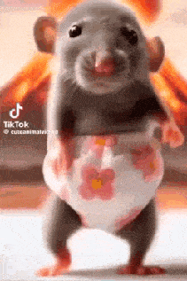 Rat Rat Dance GIF