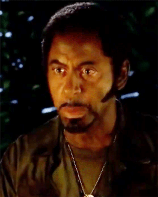 Rdj Blackface GIF