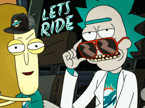 Rick And Morty Miami Dolphins GIF